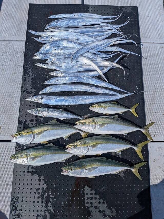 【釣果速報】和歌山県SevenSWellでタチウオ全員安打達成！仲間とわいわい釣りを楽しみたいならSevenSWellに決まり！