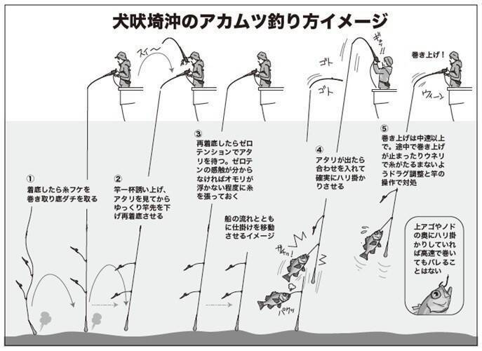 犬吠埼沖のアカムツ好スタート　クロムツ交じりで土産十分！！