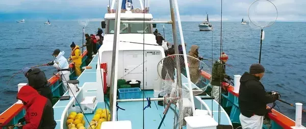 「犬吠埼沖のアカムツ好スタート　クロムツ交じりで土産十分！！」の画像