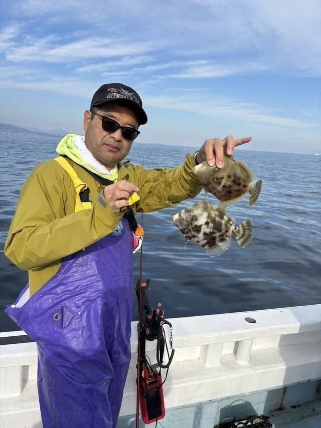 【釣果速報】静岡県安菜丸でマダイ・イナダ・カワハギGET！マダイ坊主なしで好調！この波に乗ろう！