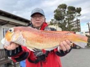 【釣果速報】見よ！51cmの巨大アマダイの迫力を！神奈川県庄治郎丸で大型高級魚GETのビッグドリームを叶えよう！