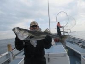 【釣果速報】神奈川県長崎屋で大人気のシーバス釣行！船長厳選のポイントで全員ヒットの大熱戦！今後爆釣の予感！
