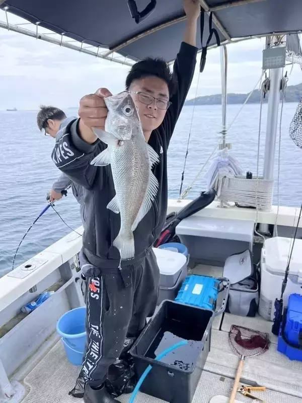 「【釣果速報】メジロ・クログチ・ガシラなど多魚種で楽しめる！バラエティ豊かに釣りたいなら大阪JACKに乗船だ！」の画像