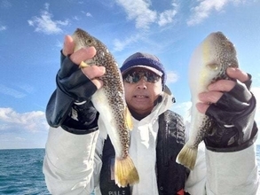 【釣果速報】ショウサイフグのビッグウェーブ来てます！千葉県利永丸で38cmのでっぷりショウサイフグGET！このチャンスを逃すな！