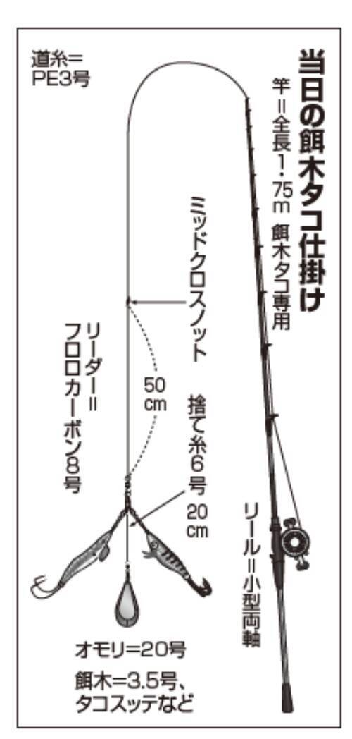 東京湾奥の餌木タコ　根掛かり回避で快調