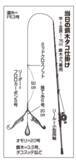 「東京湾奥の餌木タコ　根掛かり回避で快調」の画像2