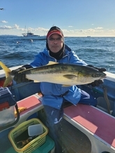 【釣果速報】ワラサが立て続けに釣れる快感！5.50kgの良型キャッチ！神奈川県成銀丸で青物ざんまいしませんか？