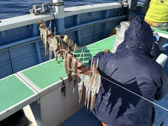 【釣果速報】なんて映える釣果写真なんだ！40cmクラスのスルメイカを順調にゲット！神奈川県大松丸でどでかいイカを獲ろう！