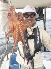 【釣果速報】兵庫県こうじん丸で2.30kgの巨大マダコ釣れる！順調にサイズアップしているマダコをキャッチしに行こう！