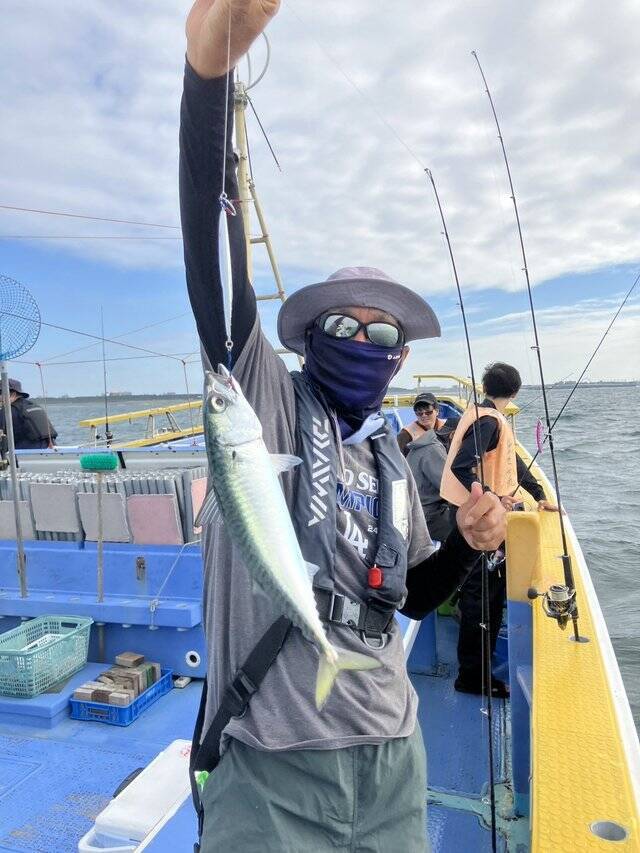 【釣果速報】何が来るか分からない！神奈川県島きち丸でアジ好調、サワラ＆マダイも登場！とにかく釣りたいなら今しかない！