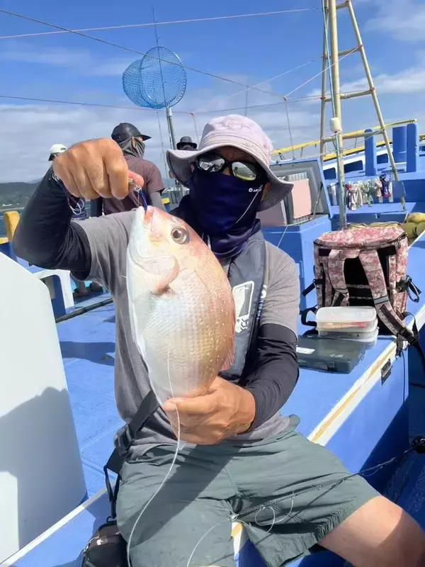 「【釣果速報】何が来るか分からない！神奈川県島きち丸でアジ好調、サワラ＆マダイも登場！とにかく釣りたいなら今しかない！」の画像