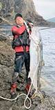 「【磯釣り】隠岐で日本記録を超える158cmのヒラマサゲット！当日の釣具を一挙公開！」の画像3