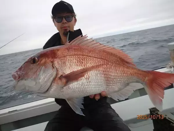 【釣果速報】福島県つりエサ豊漁でマダイ・チャリコ好調！最大79cm！今後の釣行も期待大！
