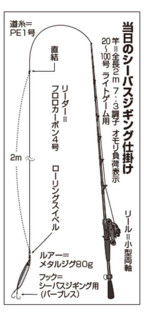 誘いは落として巻くだけシーバスジギング好況