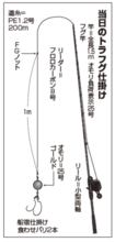 東京湾のトラフグ初挑戦 誘い下げで初物ゲット