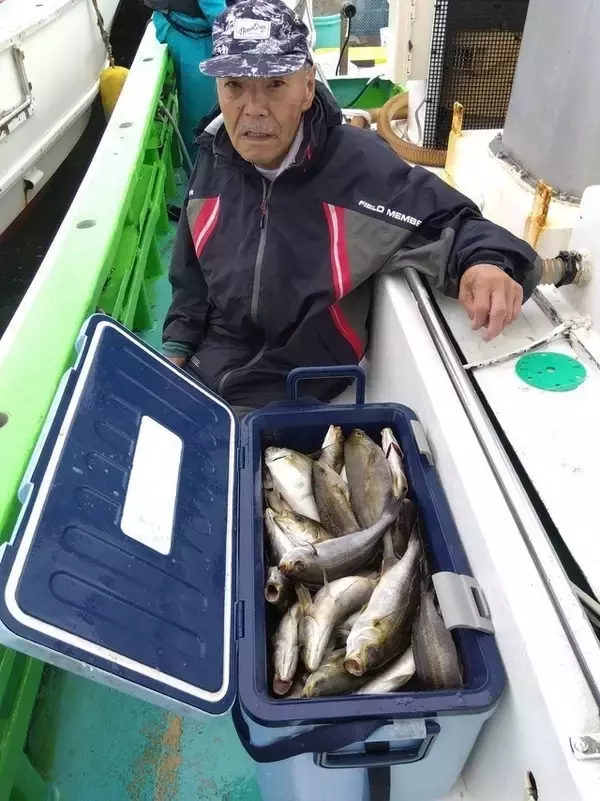 「【釣果速報】神奈川県せどおと丸でイサキ好調！TOP110匹！質も量も大満足の釣行を楽しもう！」の画像
