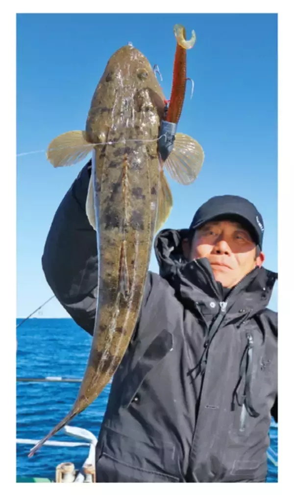 「水温上昇でチャンス到来東京湾のマゴチ上昇気配」の画像