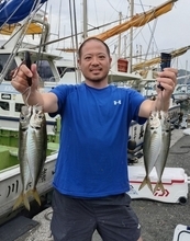 【釣果速報】神奈川県愛正丸で迫力の6.80kgワラサ上がる！順調にサイズアップしている青物をキャッチしに行こう！
