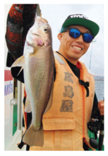 まもなく本番！横浜沖のライトアジ