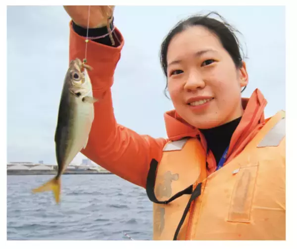 「まもなく本番！横浜沖のライトアジ」の画像