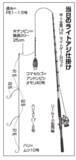 「まもなく本番！横浜沖のライトアジ」の画像4