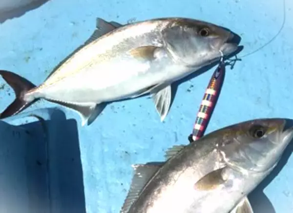 「スロージギングを始めたい！ロッドやリールはどれを選べばいいの？」の画像