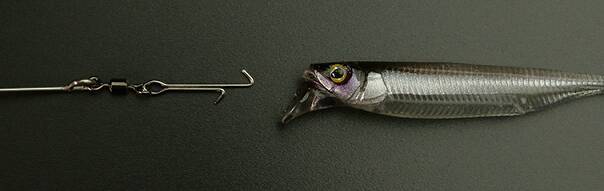 ラスターブレード75は2024年新登場のバマスト対応ワイヤーベイト！