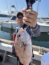 【釣果速報】福岡県木鶏丸で全員マダイゲット達成！仲間と新しいターゲットを狙った釣りに挑戦しませんか？