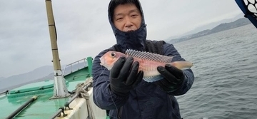 【釣果速報】最大33cm！神奈川県かりゆし丸で高級魚アマダイが大ヒット！釣り人が憧れる幻のターゲットをその手でゲットせよ！