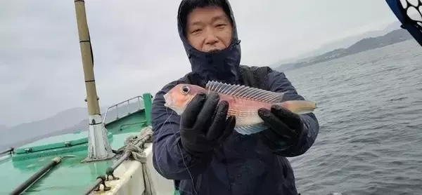 【釣果速報】最大33cm！神奈川県かりゆし丸で高級魚アマダイが大ヒット！釣り人が憧れる幻のターゲットをその手でゲットせよ！