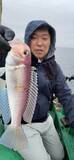 「【釣果速報】最大33cm！神奈川県かりゆし丸で高級魚アマダイが大ヒット！釣り人が憧れる幻のターゲットをその手でゲットせよ！」の画像2