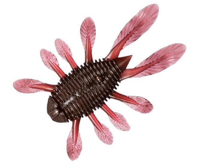 スティーズ アプナスバグは2024年リリースのエラストマー虫系ワーム！