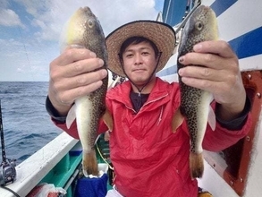 【釣果速報】千葉県利永丸でショウサイフグ・トラフグの調子上向き！ショウサイフグTOP71匹と良好！今後の釣行も期待大！