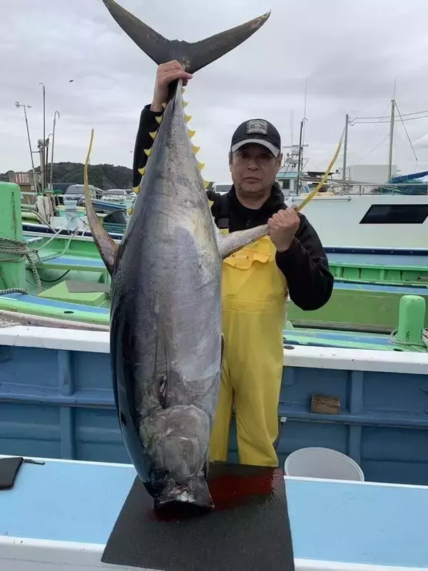 「【釣果速報】神奈川県愛正丸で52.00kgのキハダマグロ上がる！！ノッてる今、大物ゲットの夢を掴め！」の画像