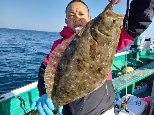 【釣果速報】65cmのヒラメ上がる！ハタもGETで好調！人気魚種を狙うなら和歌山県大南荘勝丸に乗船だ！