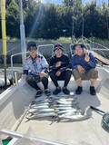 「【釣果速報】愛知県シーバスガイド船エデンでサゴシ最大50匹GET！ぜひ一度サゴシ釣りに挑戦して、時期によって異なる味わいを堪能しませんか？」の画像1