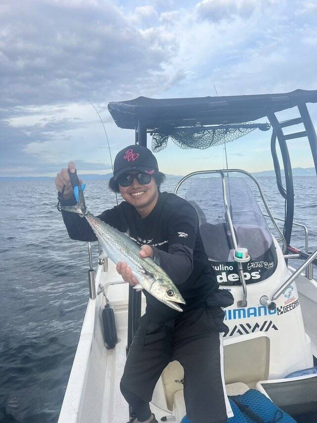 【釣果速報】愛知県シーバスガイド船エデンでサゴシ最大50匹GET！ぜひ一度サゴシ釣りに挑戦して、時期によって異なる味わいを堪能しませんか？