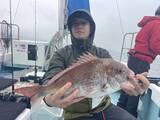 「【釣果速報】神奈川県村本海事で1.80kgの良型マダイをゲット！多彩なゲストも見え釣行は大充実！」の画像1