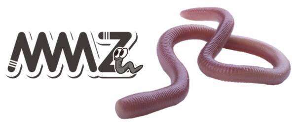 Ospの人気ワーム Mmz 実釣インプレ特集 使い方やおすすめタックル 22年7月4日 エキサイトニュース