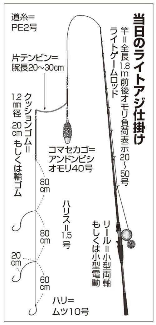 八景沖のライトアジ　初夏の好期突入！