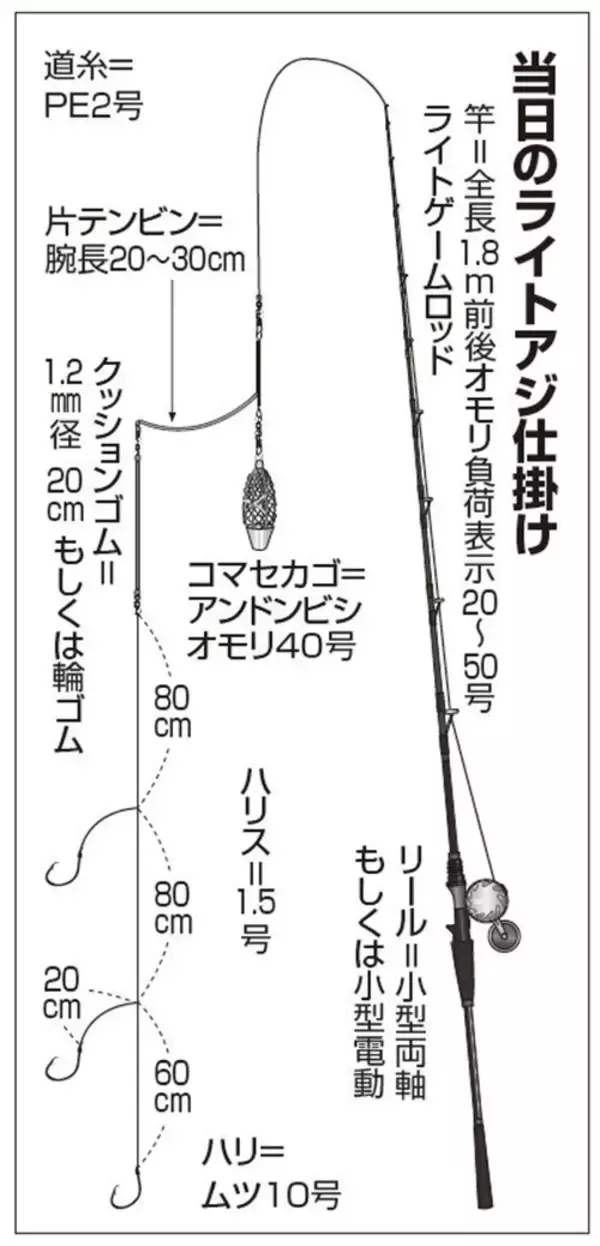 「八景沖のライトアジ　初夏の好期突入！」の画像