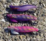 「好調のティップランアオリ王道＋こだわりの釣りでドキ×2、ズシンを楽しんだ。」の画像3