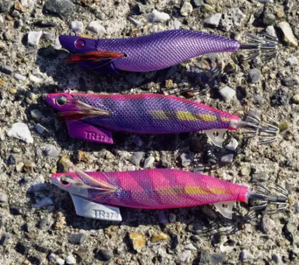 「好調のティップランアオリ王道＋こだわりの釣りでドキ×2、ズシンを楽しんだ。」の画像