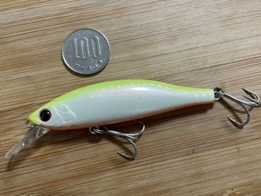 Mariaタイトスラローム徹底解説！！ドブシーバスのすゝめ