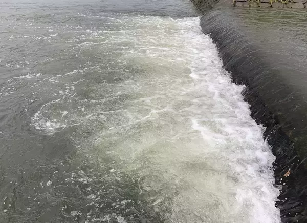 「Mariaタイトスラローム徹底解説！！ドブシーバスのすゝめ」の画像