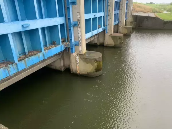 「Mariaタイトスラローム徹底解説！！ドブシーバスのすゝめ」の画像