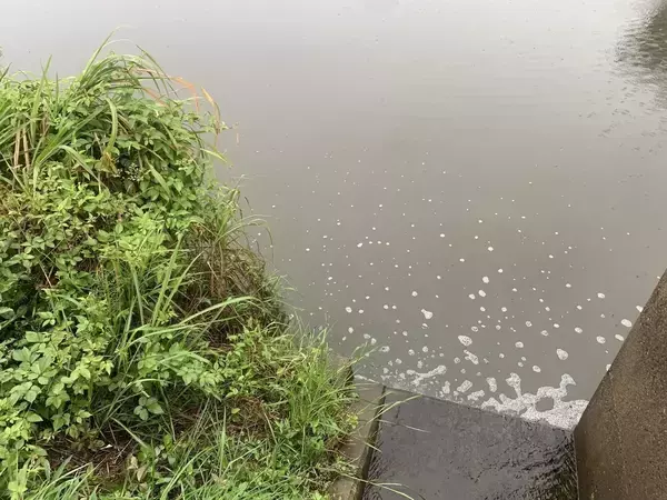 「Mariaタイトスラローム徹底解説！！ドブシーバスのすゝめ」の画像