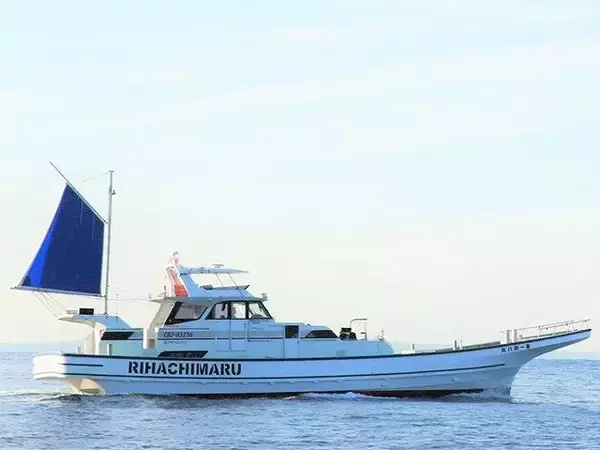 【釣果速報】千葉県利八丸で驚異の8kgマダイゲット！大型マダイを狙いたいなら今がチャンス！