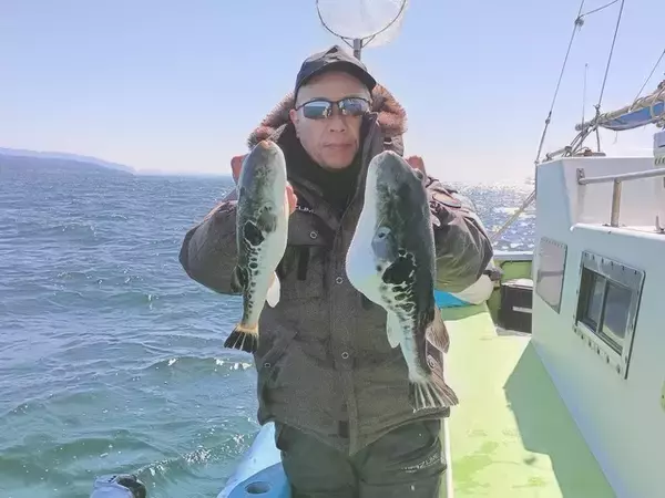 【釣果速報】千葉県利八丸でトラフグが快釣！サイズも最大2.30kgと釣りごたえバッチリ！週末はデカフグを狙いに行きませんか？