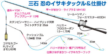 南房洲ノ崎沖のイサキ
